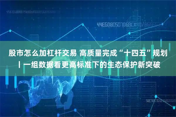 股市怎么加杠杆交易 高质量完成“十四五”规划丨一组数据看更高标准下的生态保护新突破