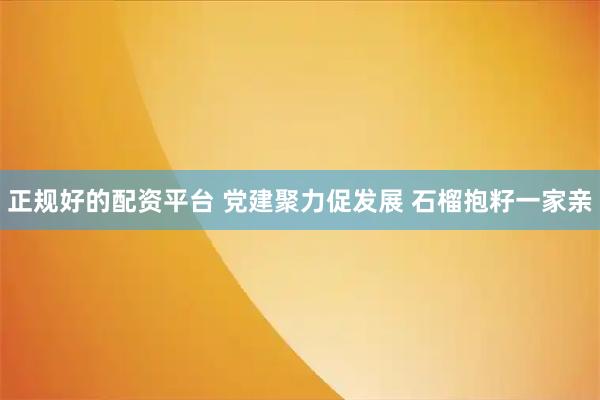 正规好的配资平台 党建聚力促发展 石榴抱籽一家亲